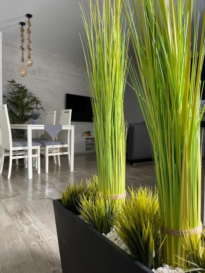 Apartamento Banferra เฮเรซ เด ลาฟรอนเตรา ภายนอก รูปภาพ